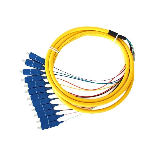 12 cores Fiber Bundle Pigtails ，pigtails fiber optic
