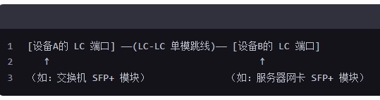 Where is the LC-LC 10 Gigabit single-mode fiber patch cable connected to?(pic1)