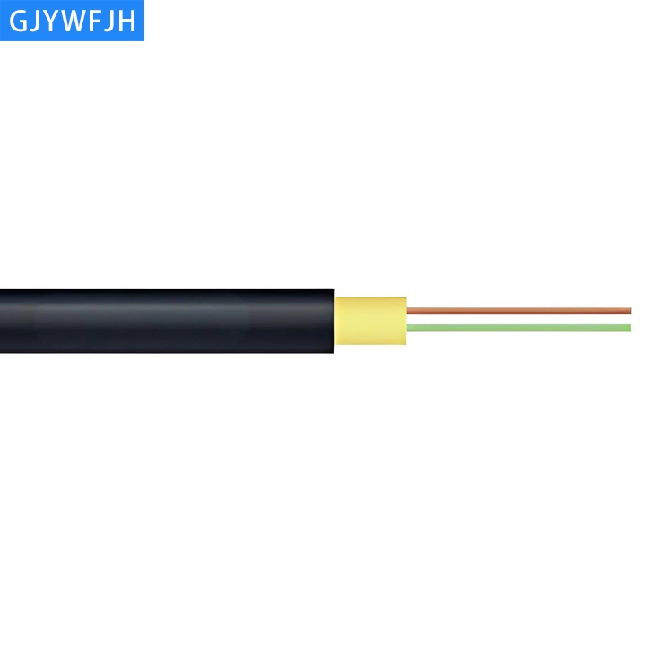 GJYWFJH  2/4 Cores indoor/outdoor armored fiber optic cable 